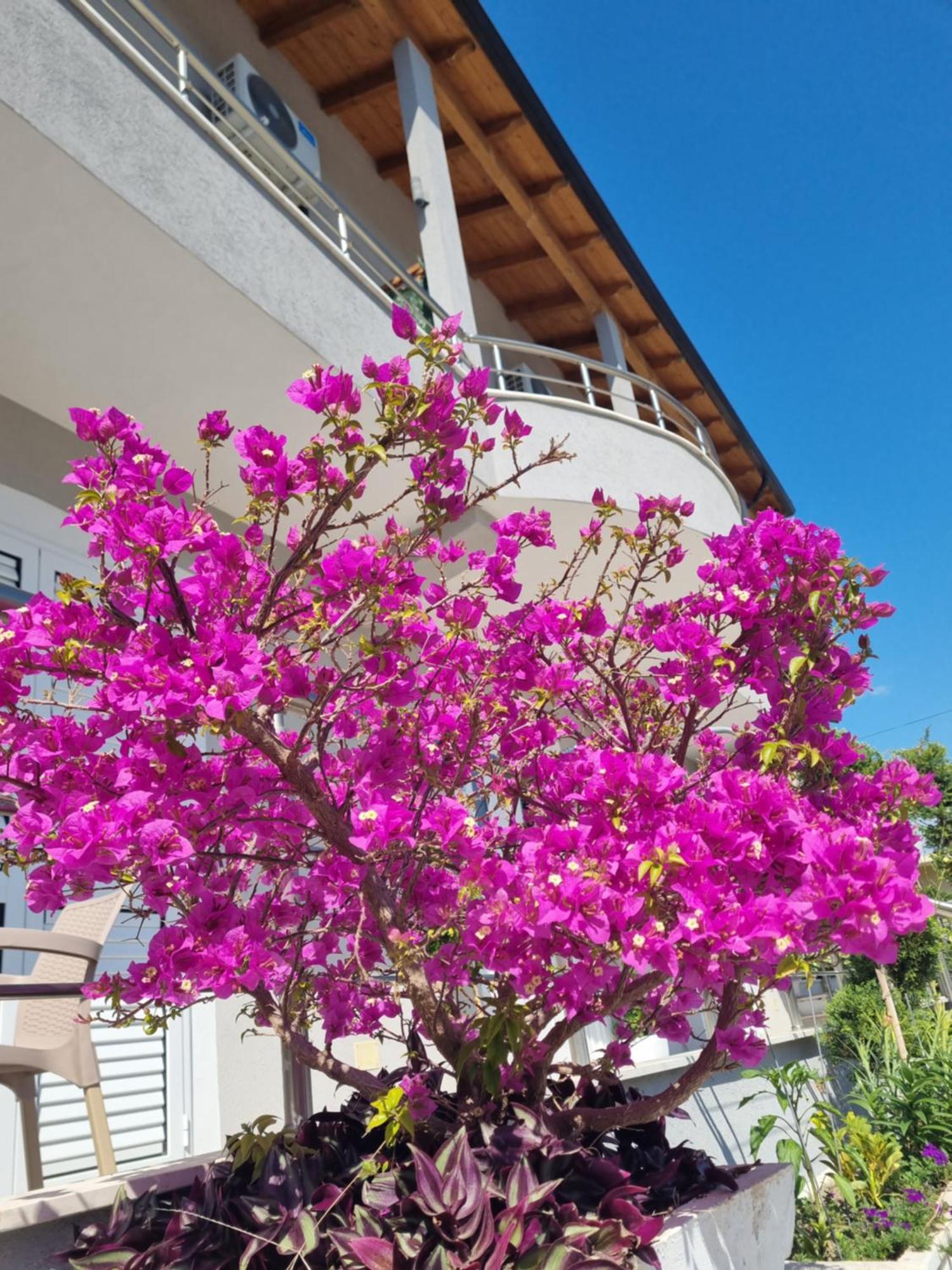 Vila Soleil Vlorë 외부 사진